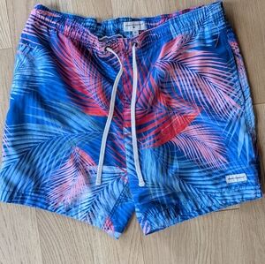 Men's Pacsun Modern Amusement Tropical Print Swim Shorts Size M